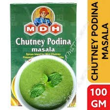 Chutney Podina Masala (100 gram)