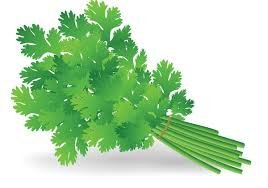 Coriander leaves ( Dhaniya)
